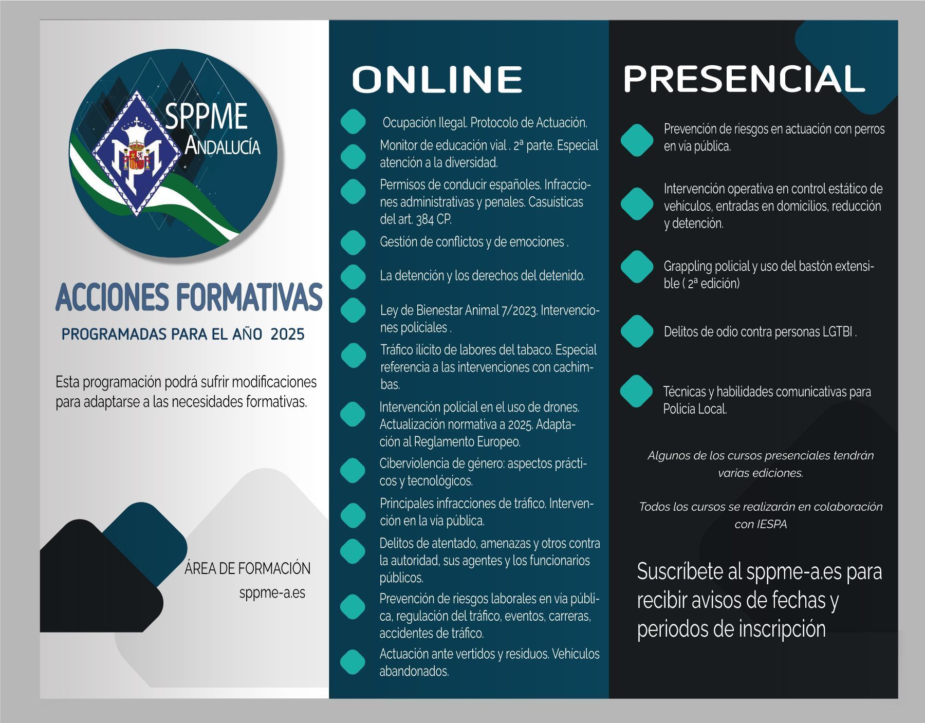 Oferta formativa para 2025
