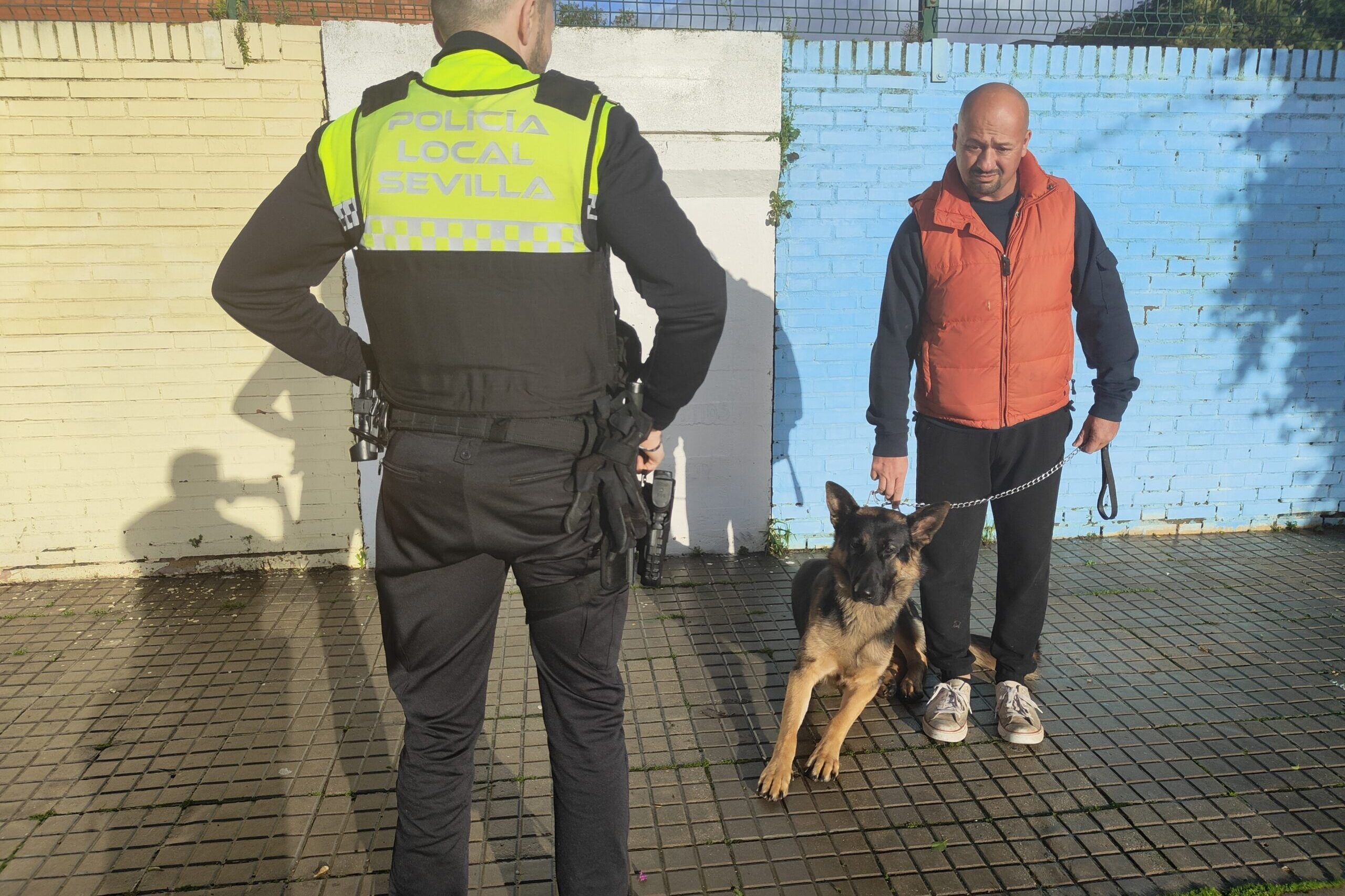 CURSO Sppme-A Prevención de riesgos en actuaciones con perros en vía pública