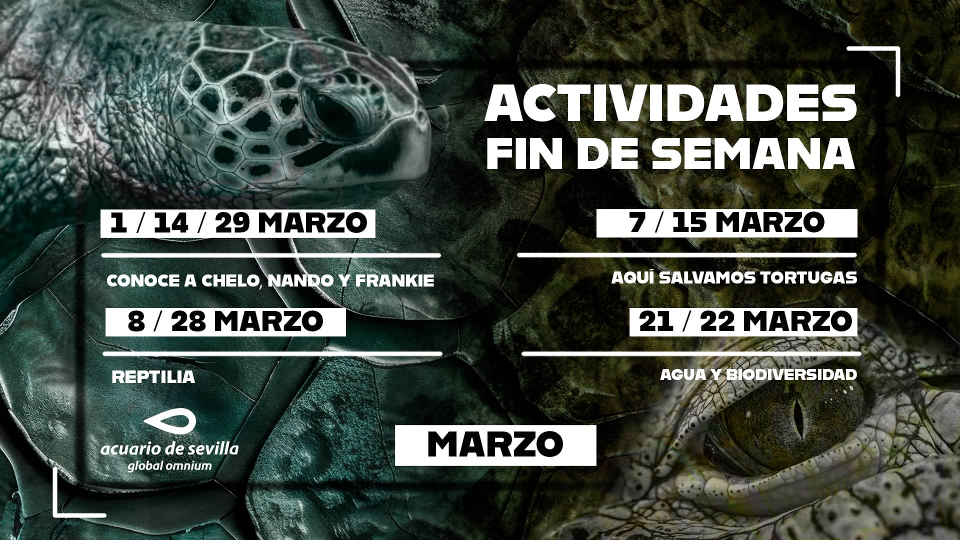 Oferta Exclusiva Marzo Acuario de Sevilla para Policías Locales