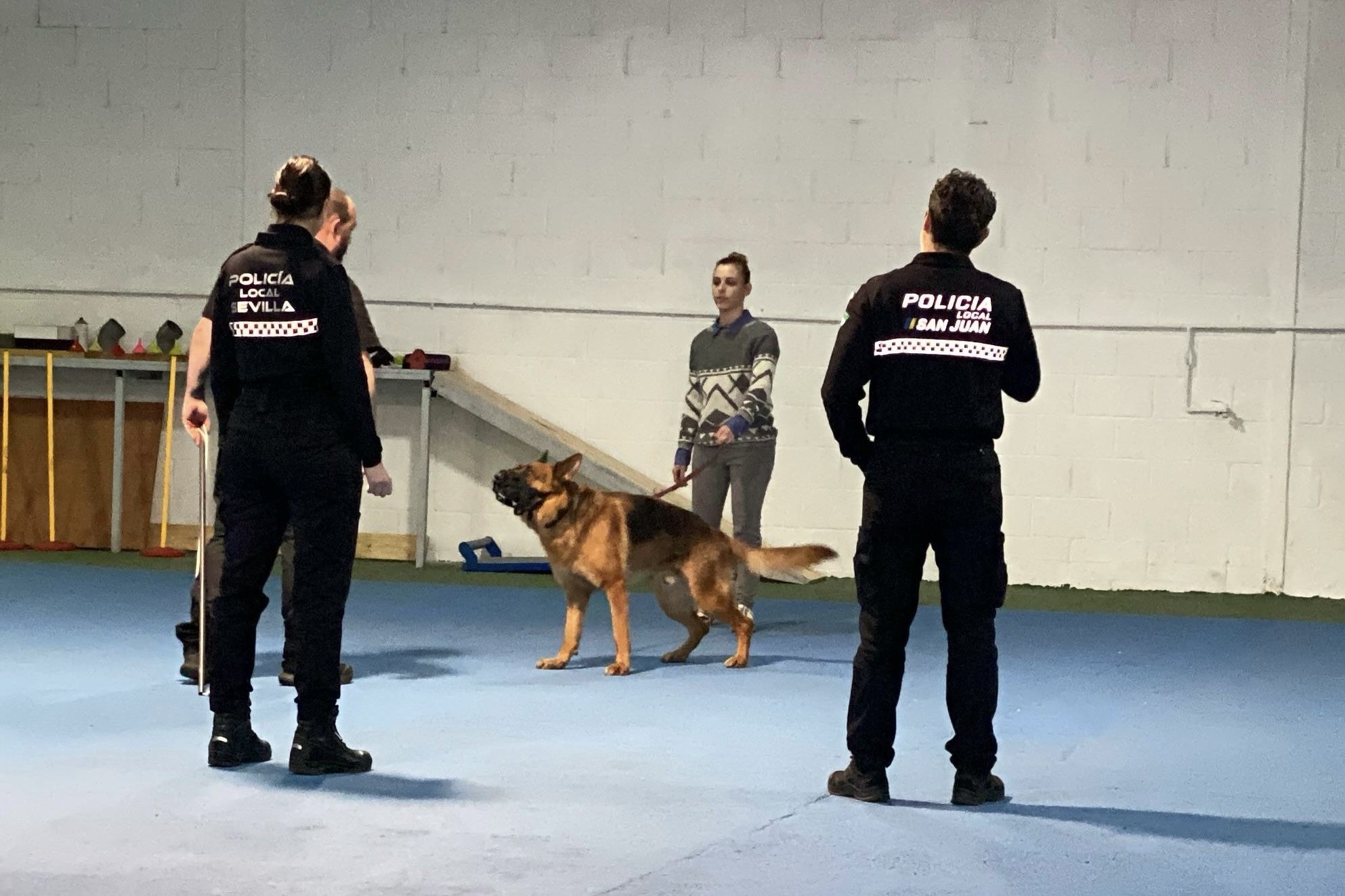 El curso presencial mejor valorado: Prevención de riesgos en actuaciones con perros en vía pública