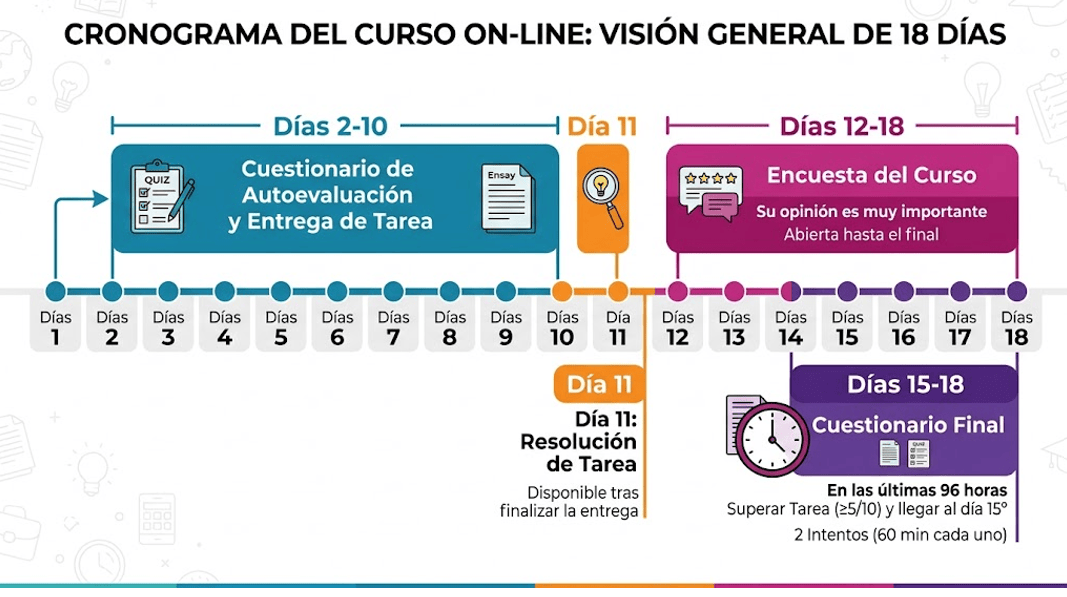 cronograma cursos online 18 días
