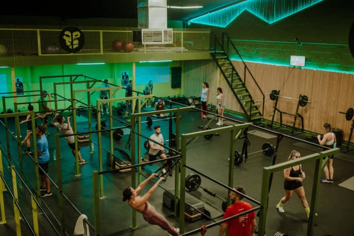 gimnasio la jungla