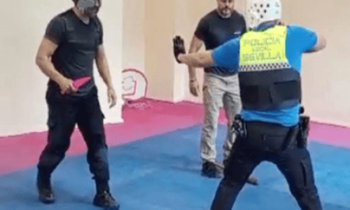 Curso - Uso legal de la fuerza y aplicación del grappling policial