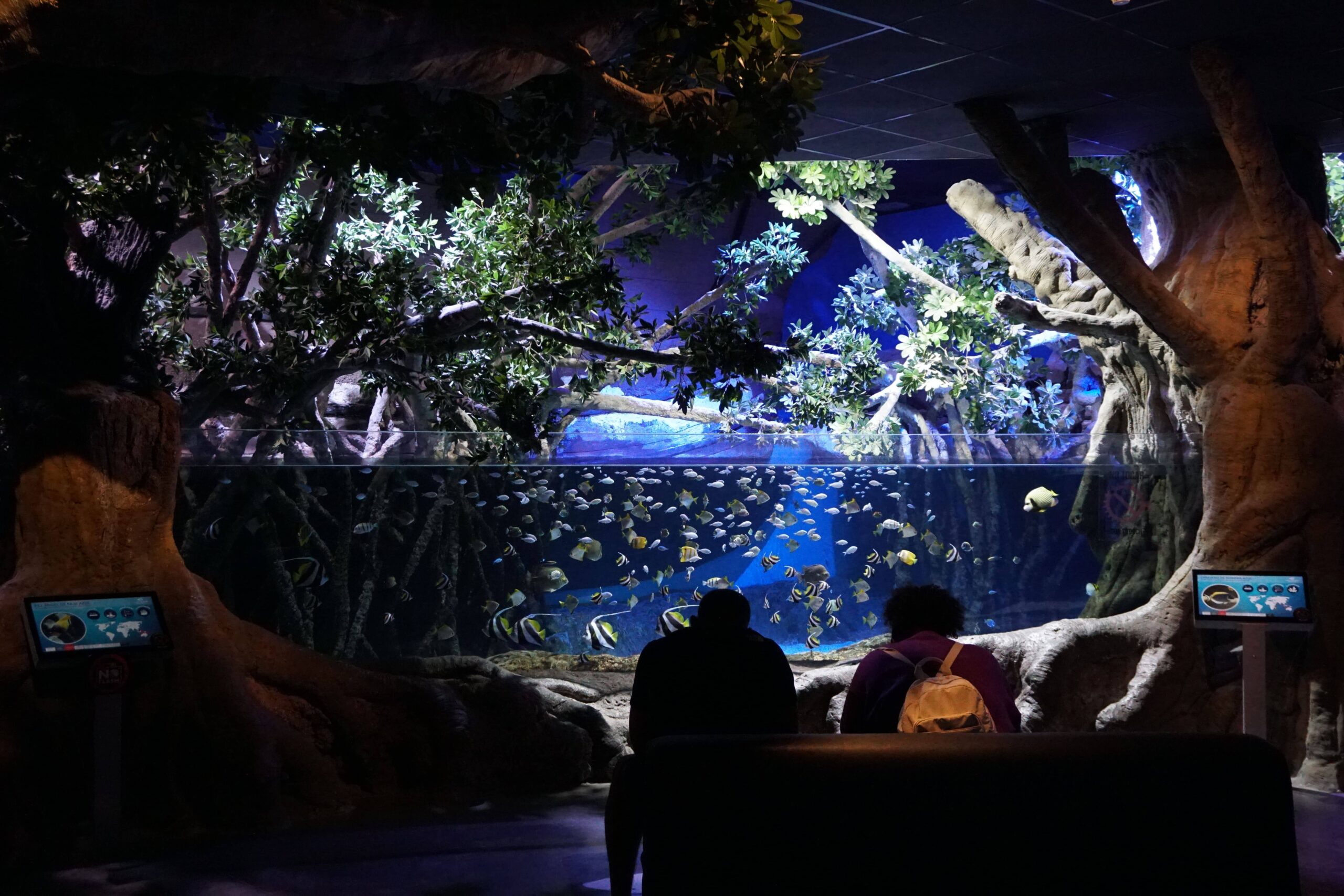 oferta acuario de sevilla